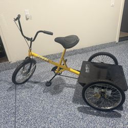 Worksman Tricycle 
