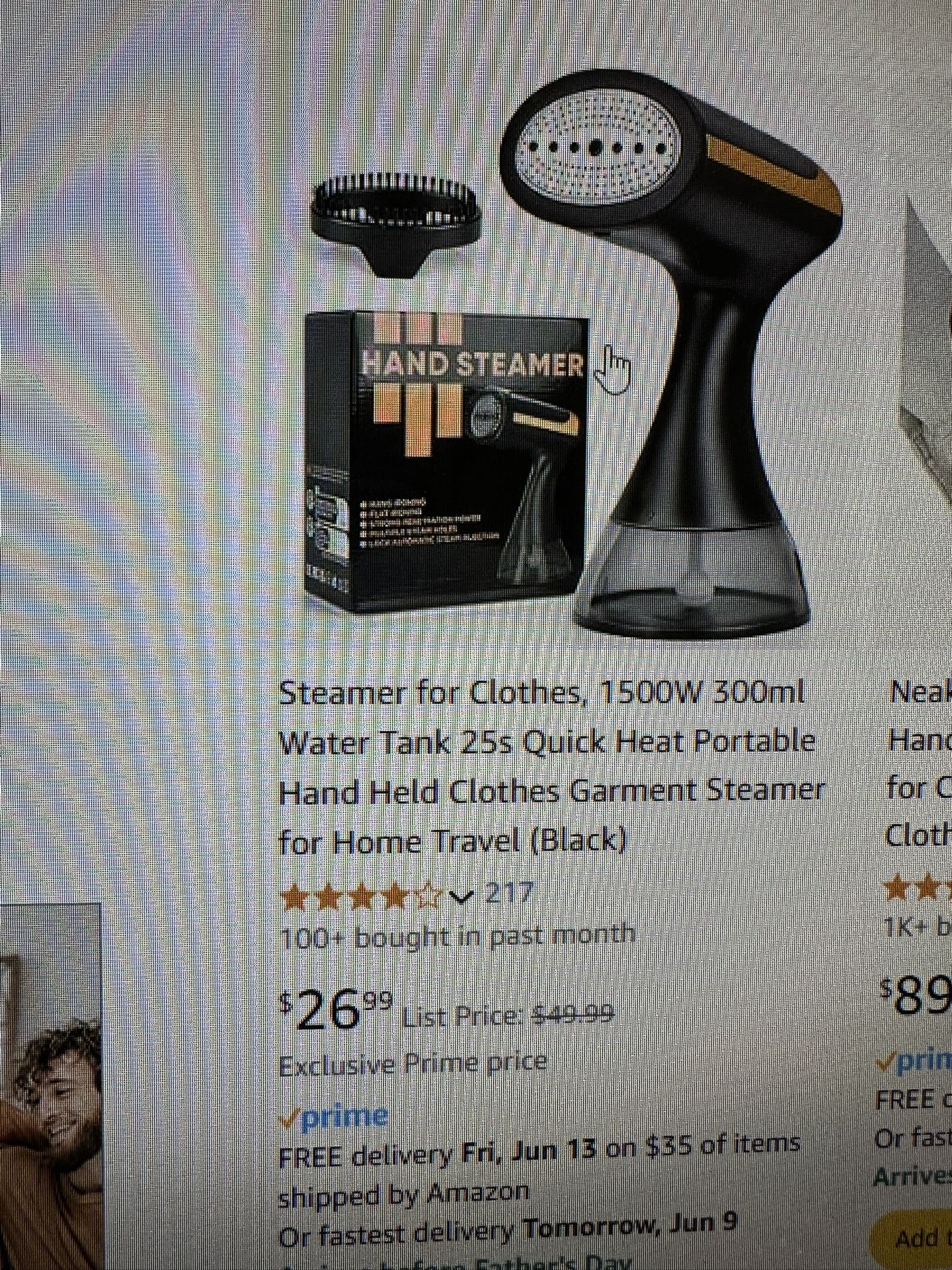 Hand Steamer 1500W
