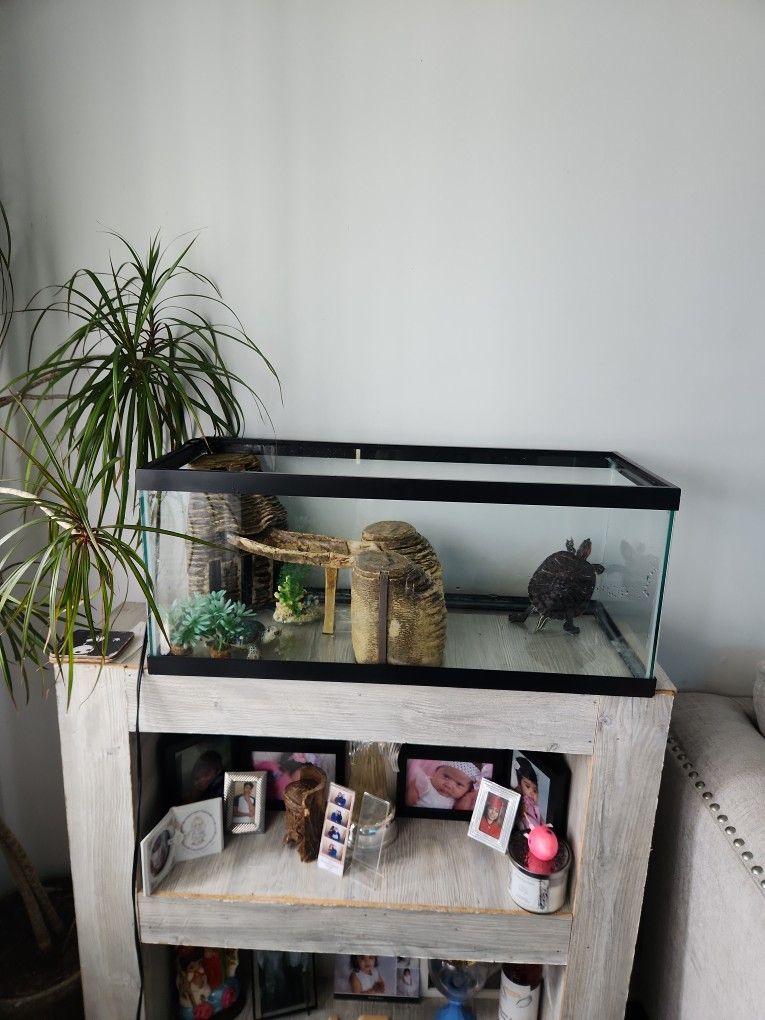 Turtle Tank