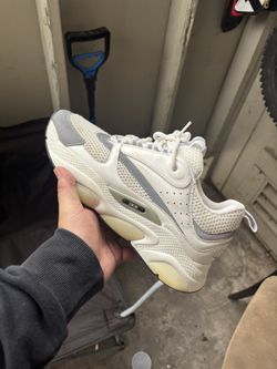 Dior B22s