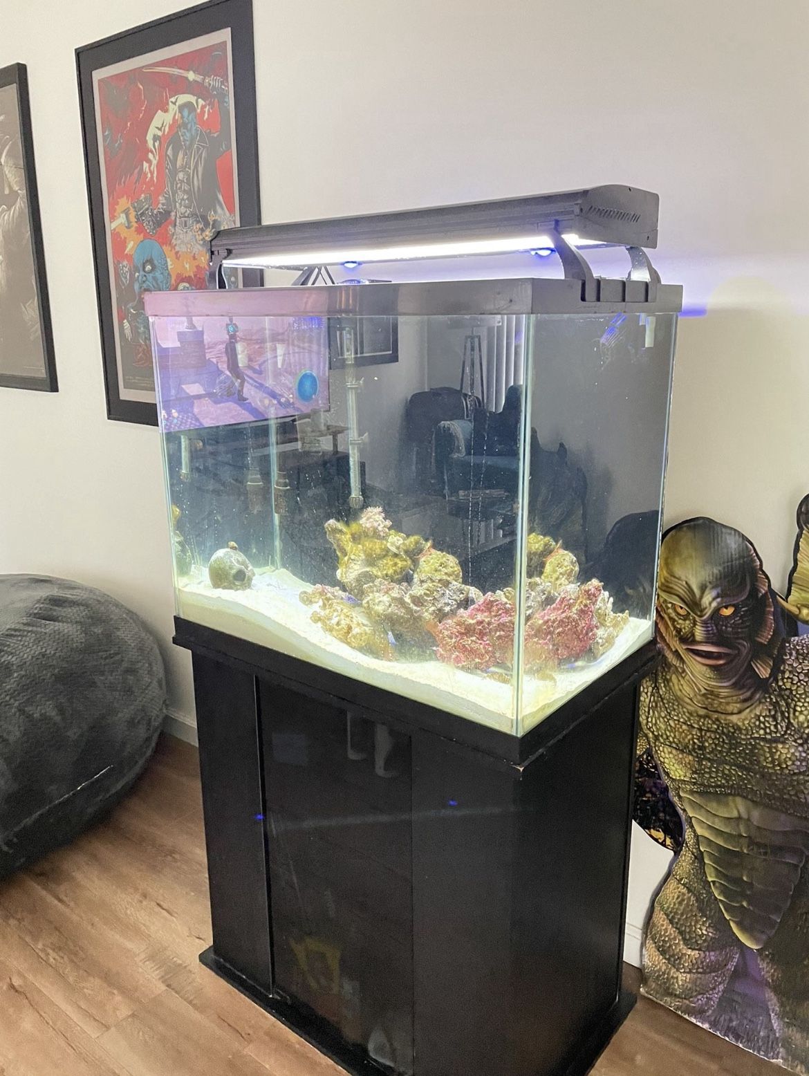 55 Gallon Saltwater Aquarium Full Set Up With Stand