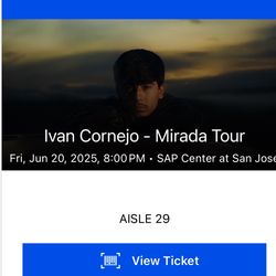 Ivan Cornejo Sap San Jose 