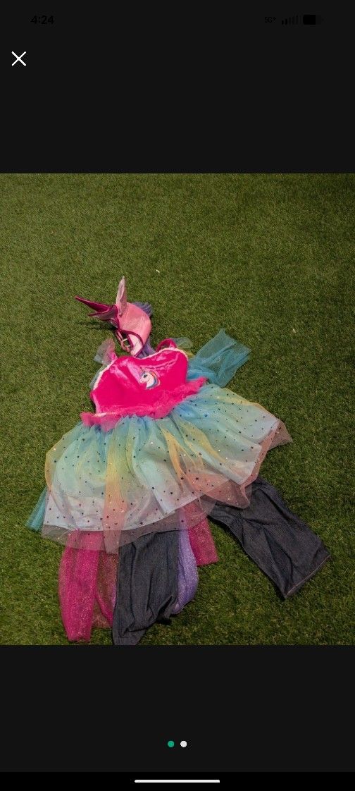 Fairy Costume 3/4 $10