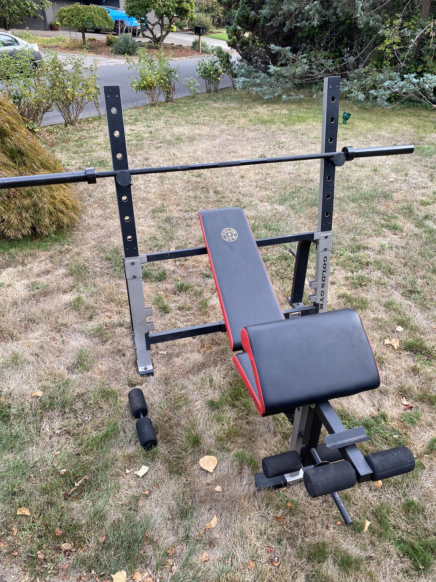 Golds Gym XR-10 FID Bench ( Flat, incline ,decline) Leg Attach & Preacher Curl 