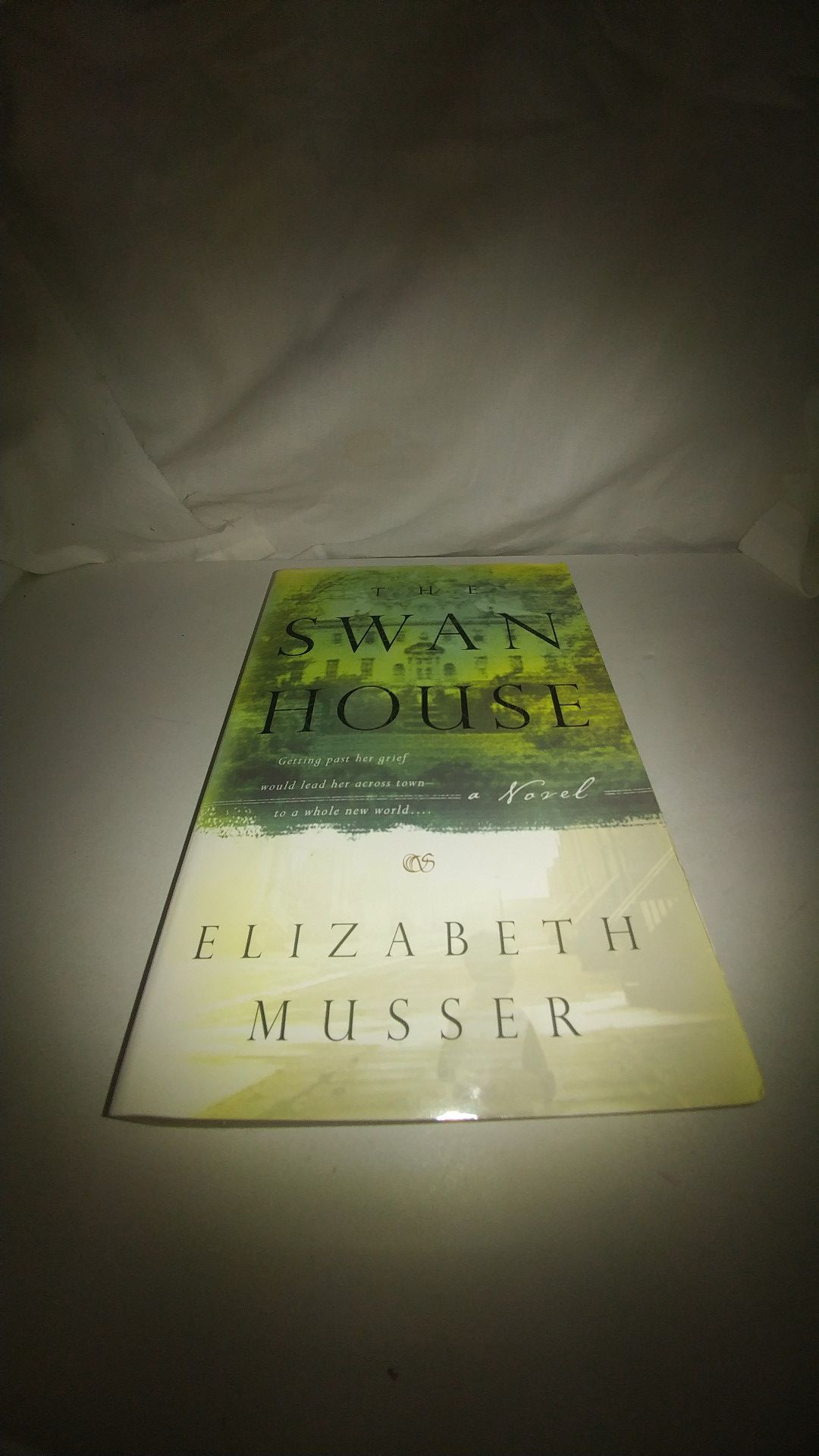 The Swan House by Elizabeth Musser Used