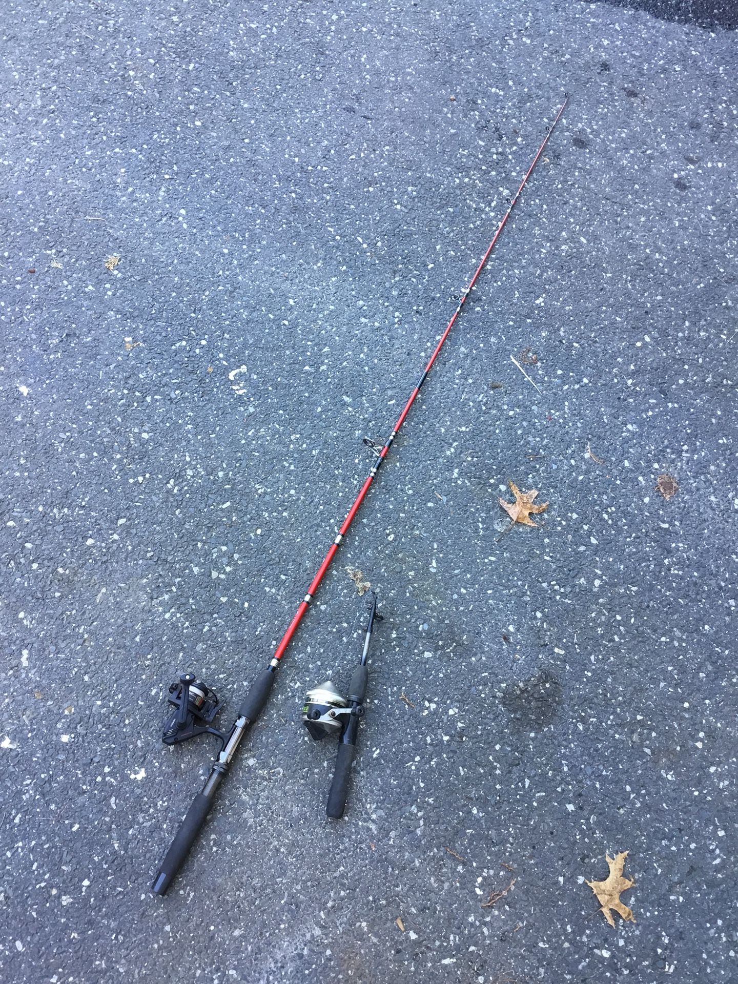 Fishing Pole rod and reel