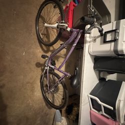 Purple Shimano Mountain Bike.