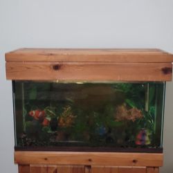 55gal Glass Fish tank