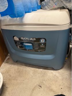 Igloo Maxcold 58L