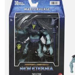He-man In Box Figure Skeletor