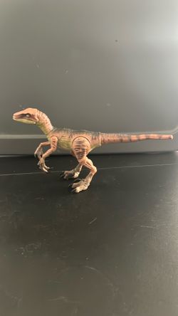 Amber collection velociraptor delta