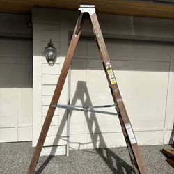 10 foot Werner Orchard Ladder