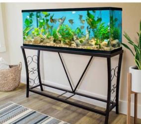 55 gallon tank