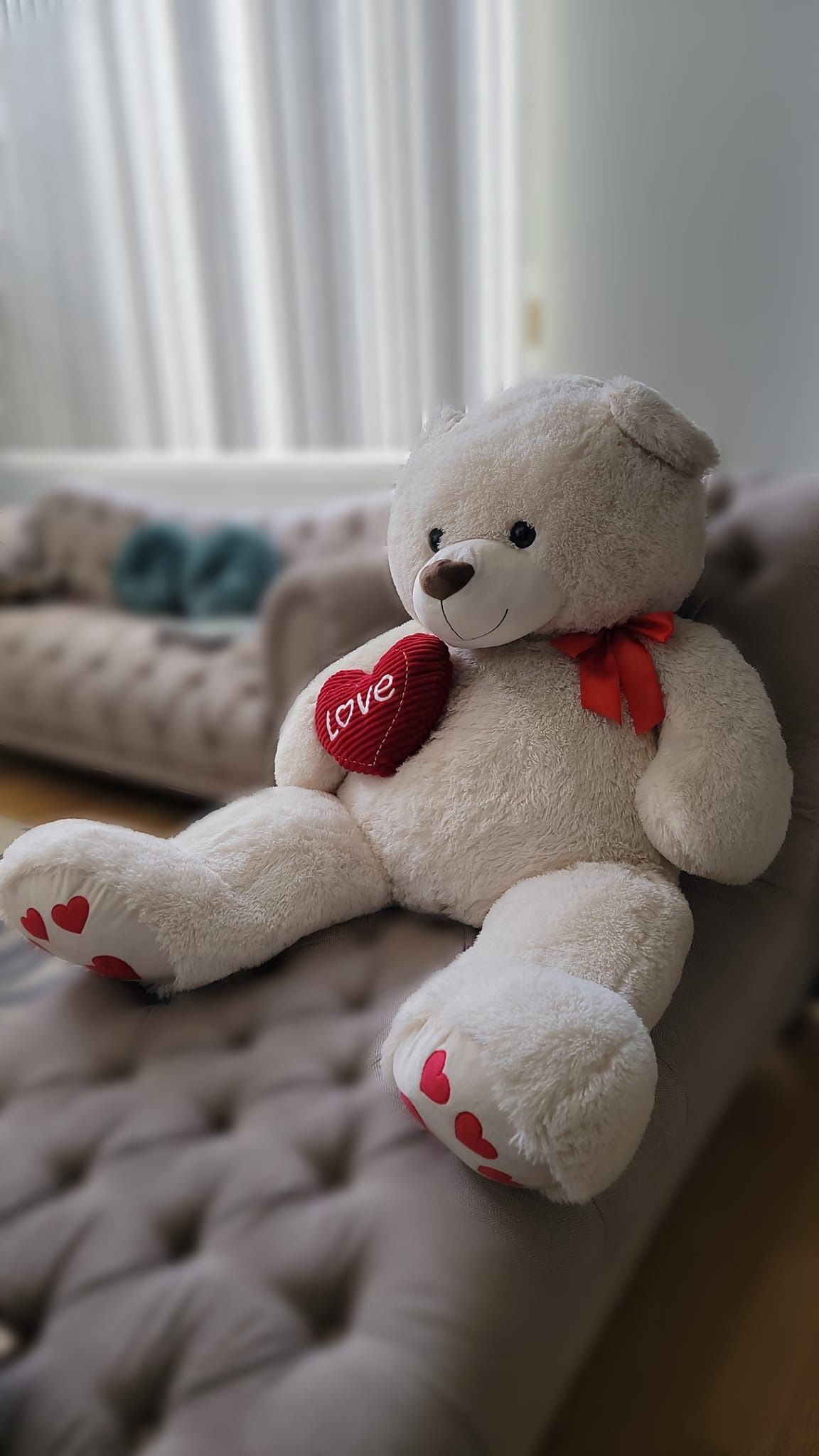 Big Teddy Bear