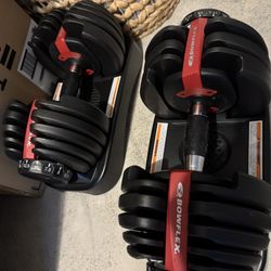 BowFlex Adjustable Weights