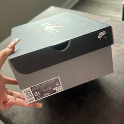 Air Jordan 11s