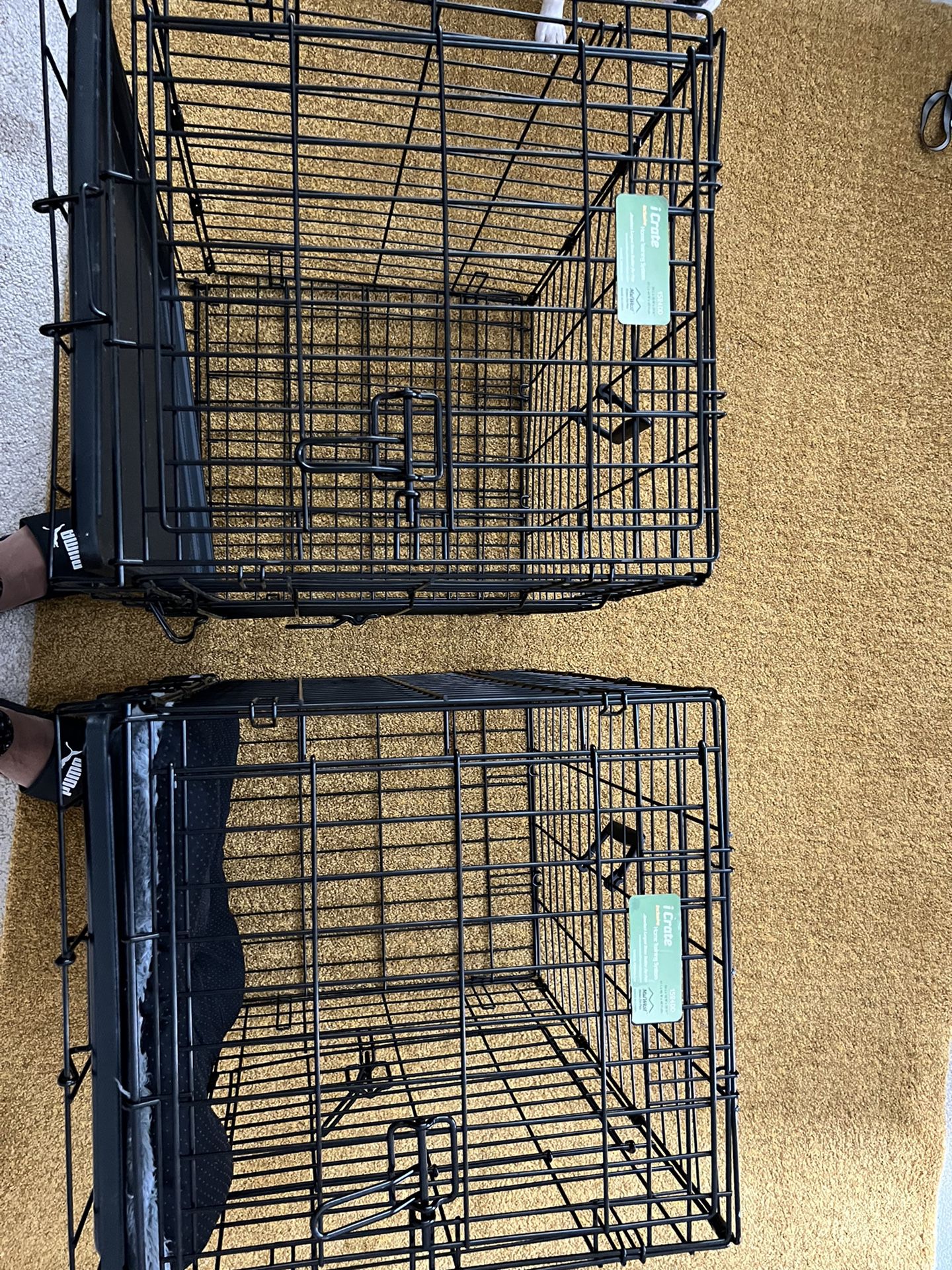 Dog Crates (24 Inches With Divider)