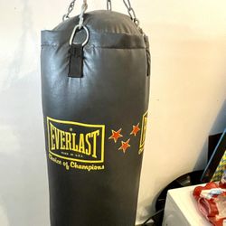 Everlast Gym Punching Bag (clean) - With Chains