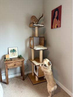 Cat Tree