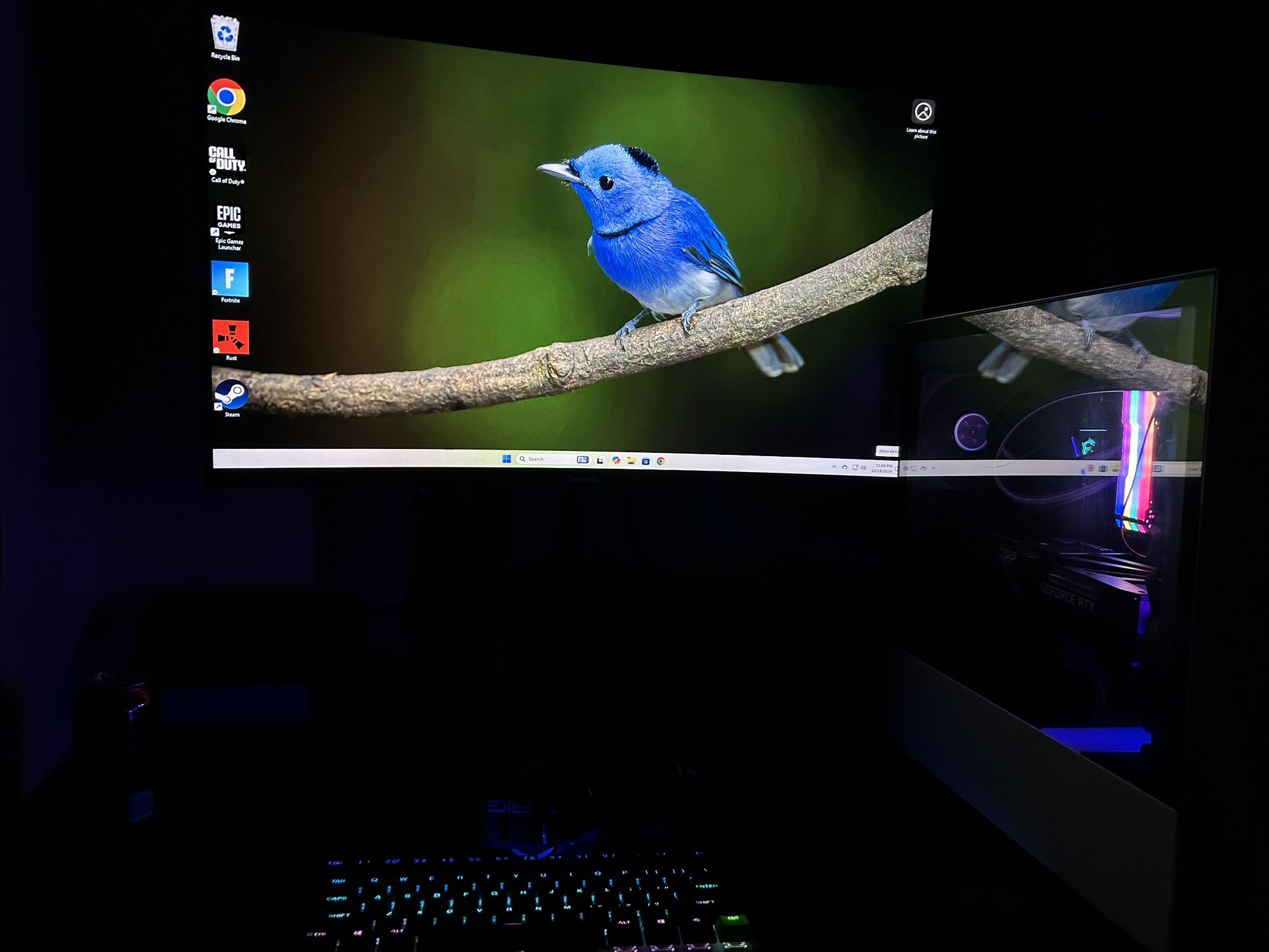 Monitor