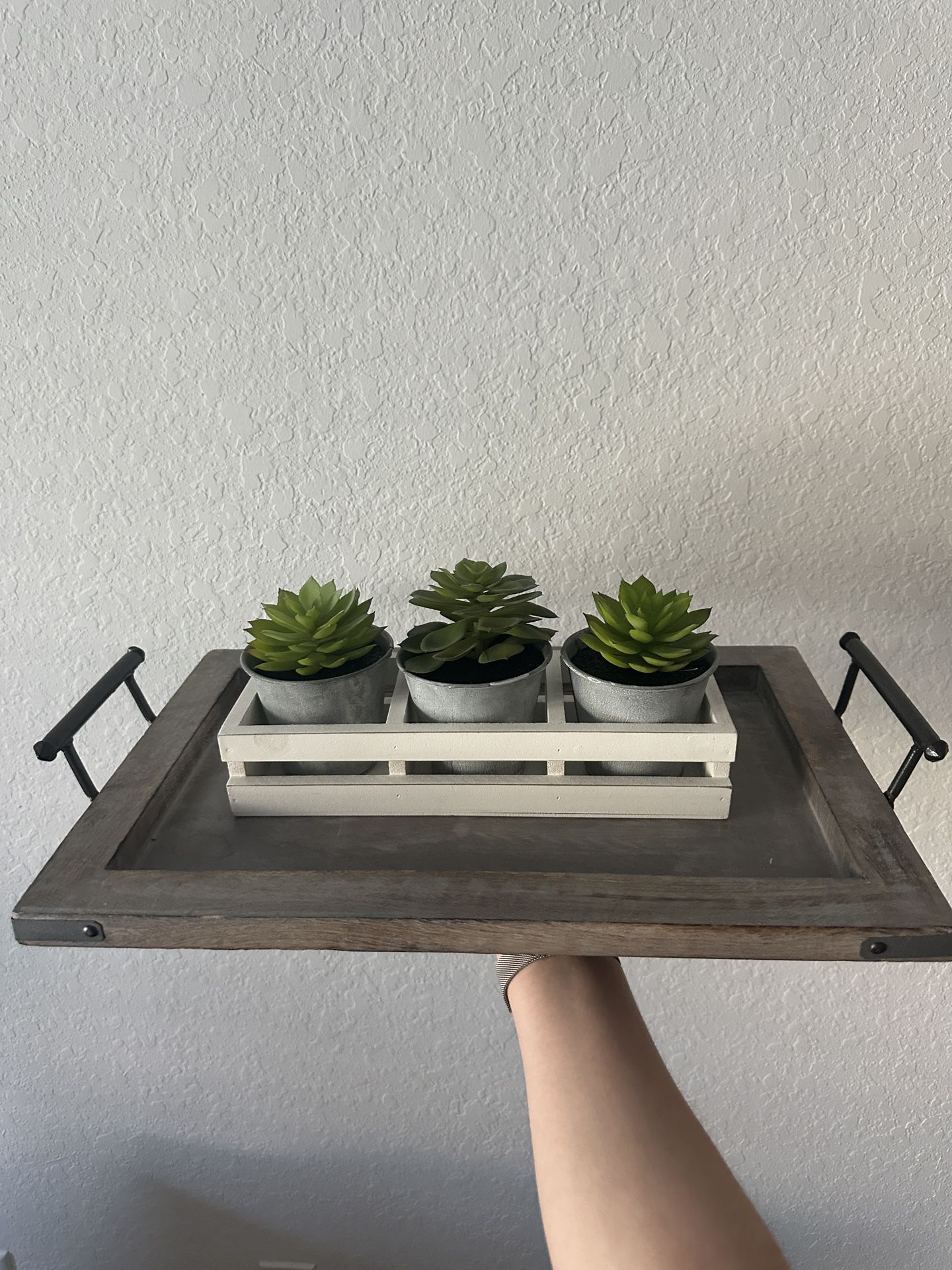 Wooden Tray And Plant Decor