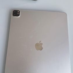 Apple iPad Pro 4th Generation 256 GB