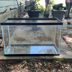 29 Gallon Fish Tank