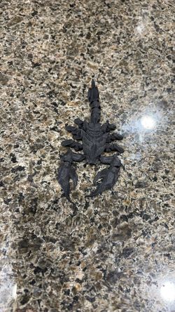 3d Printed Scorpion