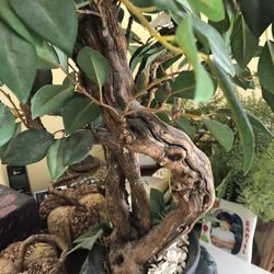 Artificial Plant