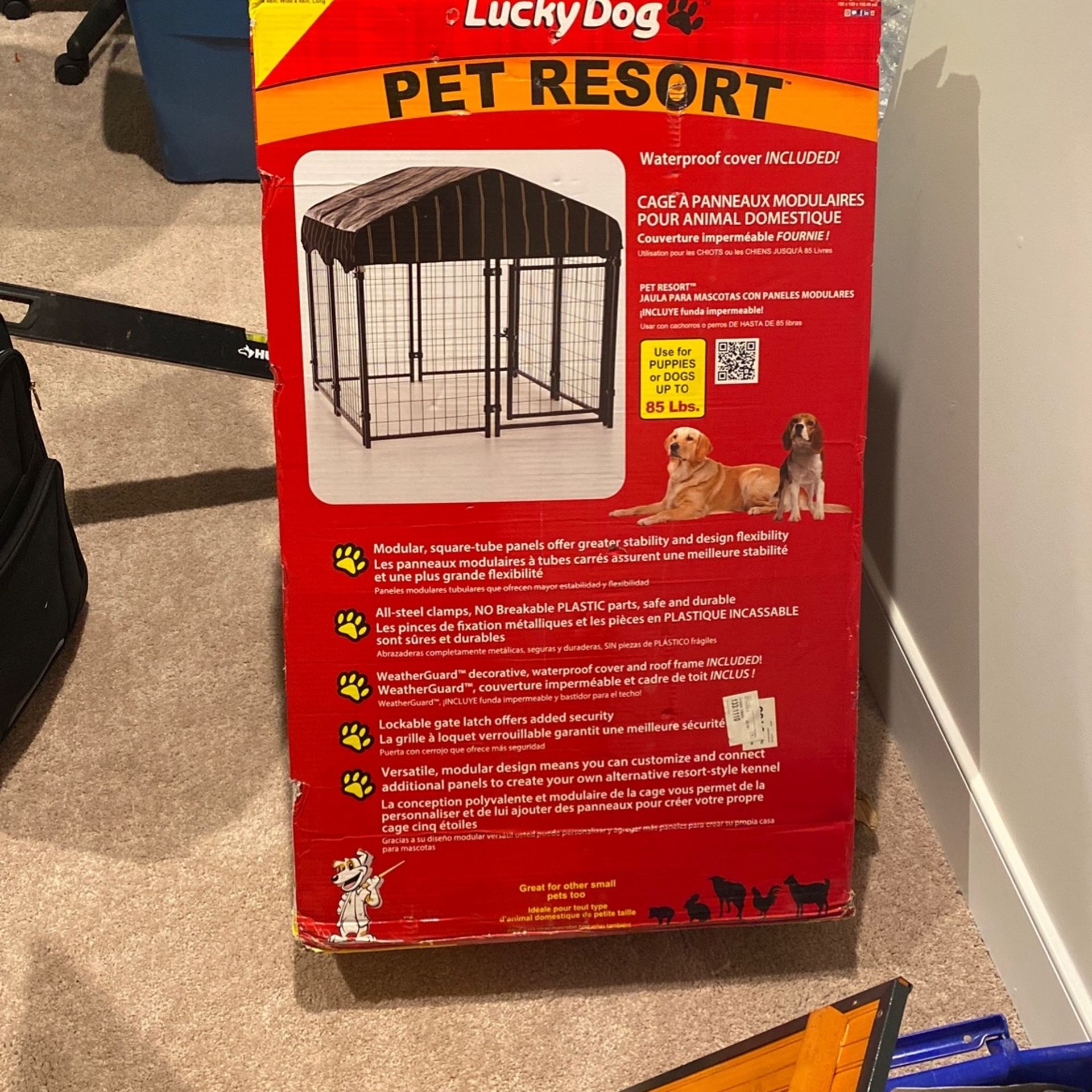 Pet Resort ( Outside Cage )