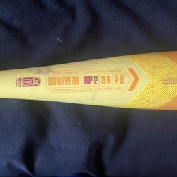 Hype Fire baseball bat 