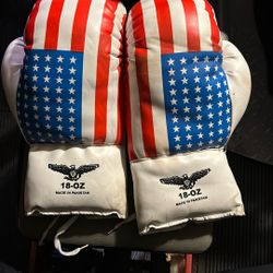 Training Boxing Gloves 18 OZ