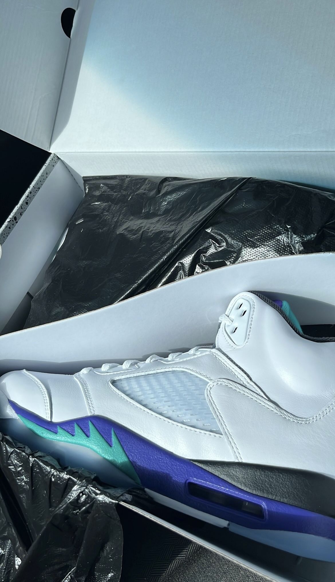 Jordan 5