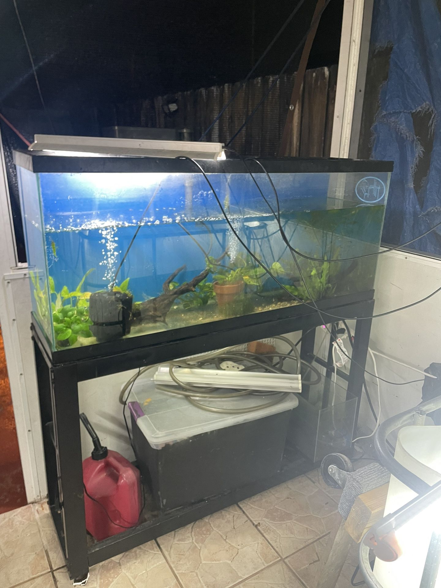 55 Gal Tank And Metal Stand 