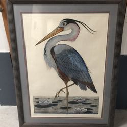 Blue Heron - Dan Mitra
