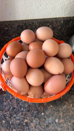 Organic eggs farm fresh