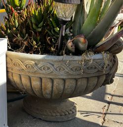 Pair Cement Urn Planters