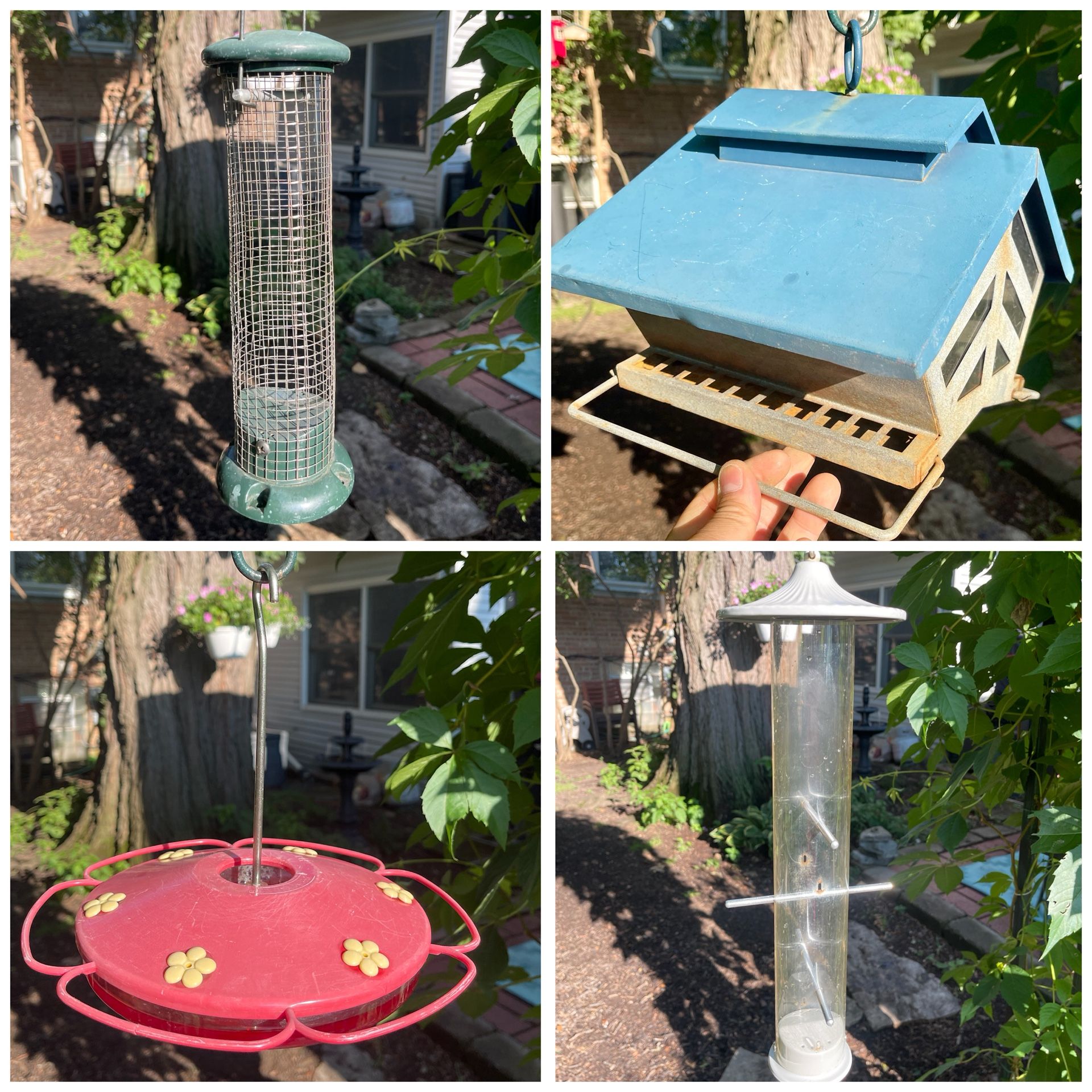 Bird Feeders