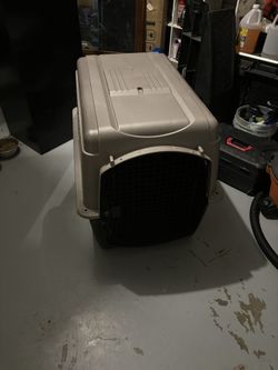 Dog Cage