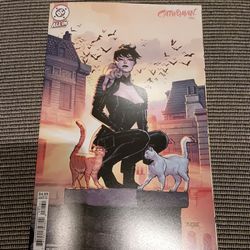 Catwoman #84 Cover C Mahmud Asrar Card Stock Variant DC Comics February 2026
