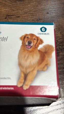 doggy flea pill