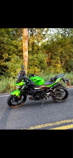 2024 Kawasaki  500z