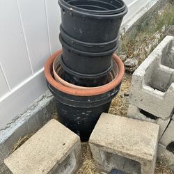 Large Pots & Planters