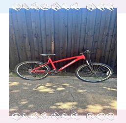 season require Adult Bicycle Comfortable Ride for Everyday Trips