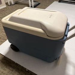 Igloo Rolling Cooler