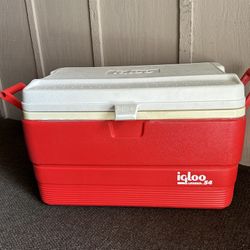 Igloo Cooler