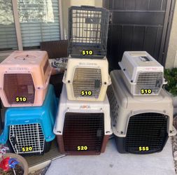 Dog Taxis (Small-Large)