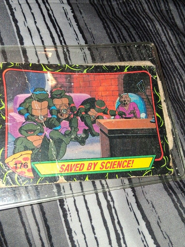 Teenage Mutant
Ninja Turtles Card #176