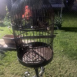 Antique  XL Wrought Iron Bird Cage 