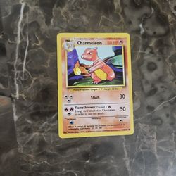 Pokemon Charmeleon 24/102